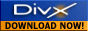 Download DivX Now !